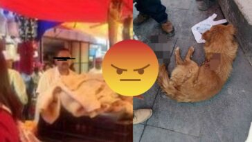 (VIDEO): Carnicero acuchilla a perrito en Toluca