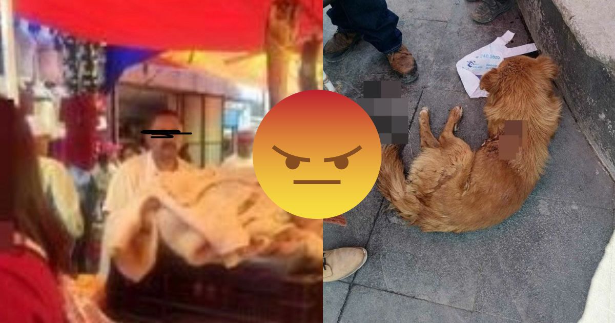 (VIDEO): Carnicero acuchilla a perrito en Toluca