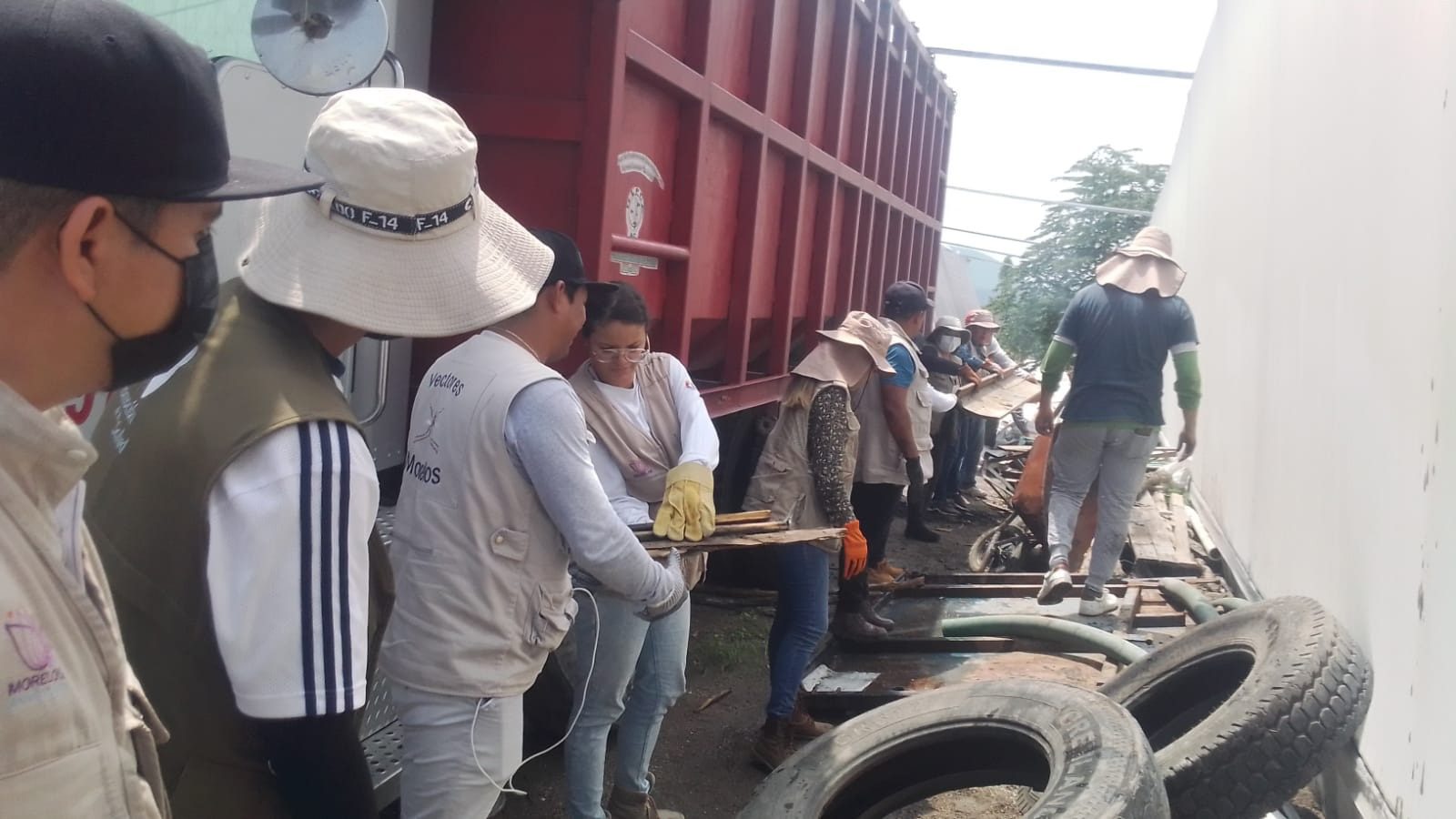 Llama SSM para la prevención de dengue, zika y chikungunya