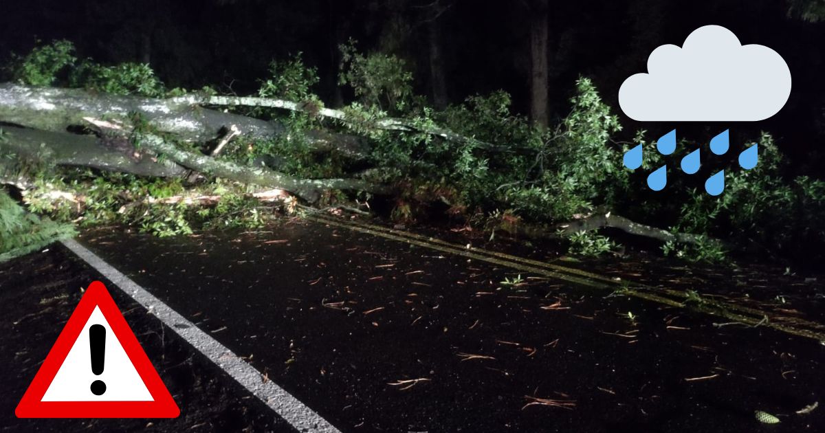 Reportan afectaciones por lluvia en el Estado de Morelos