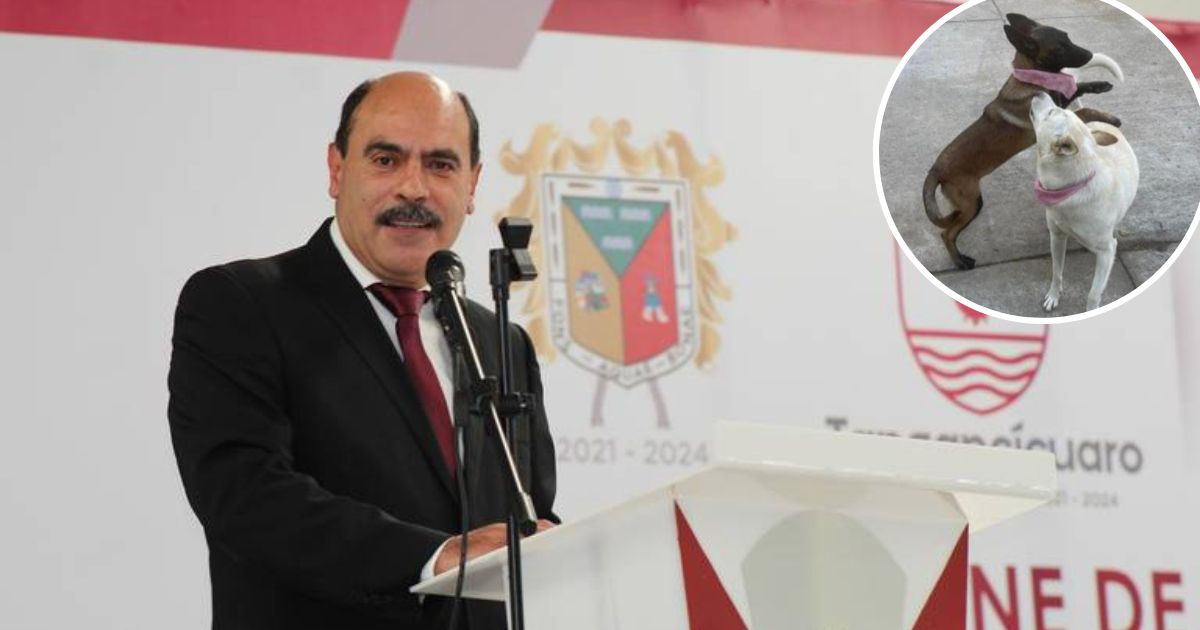 Alcalde de Michoacán