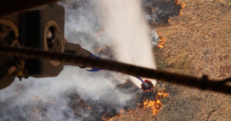 Aumenta número de muertes en incendio forestal de la isla de Maui