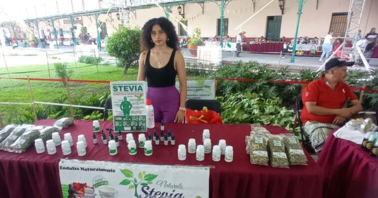 Mercadito Verde Cuautla