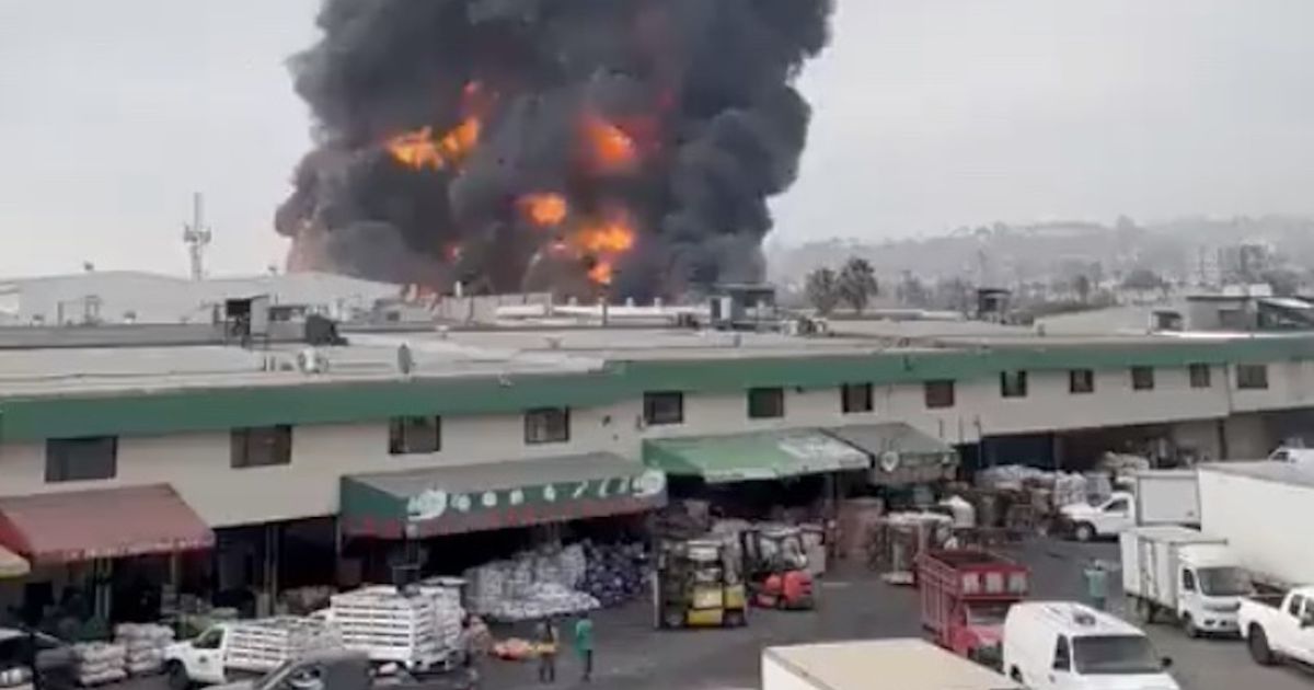 (VIDEO): Se incendia fábrica en Chicoloapan