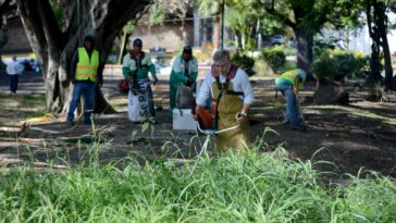 uriostegui limpieza cuernavaca