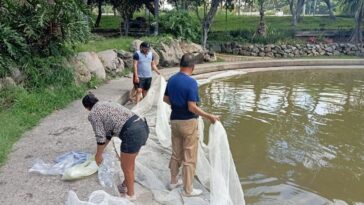Inician trabajos de limpieza de los cuerpos de agua en el Parque Alameda Solidaridad