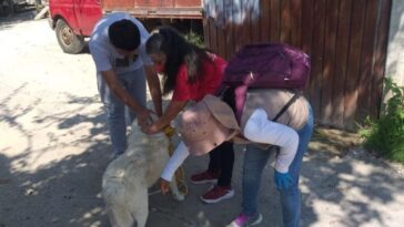 Invitan a llevar a sus mascotas a ponerse la vacuna antirrábica