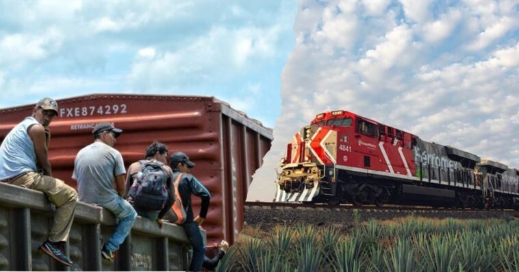 Migrantes en trenes de Ferromex