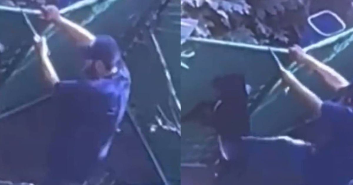 (VIDEO): Maltrato animal en hotel para mascotas