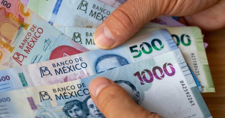 PENSIÓN IMSS
