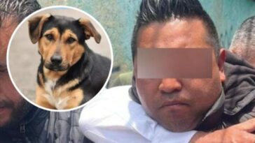 Sergio "N" culpable caso Scooby
