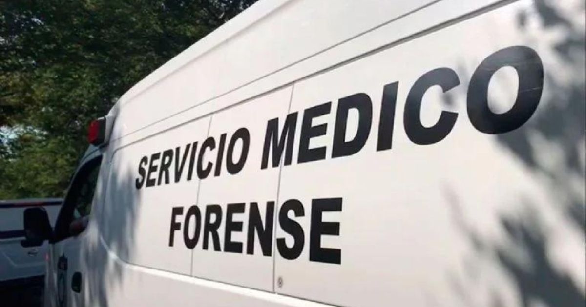 Hombre fallece al ser aplastado por un camión de basura