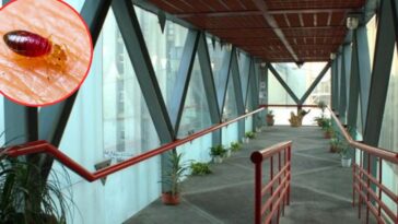 UACM SUSPENDE CLASES