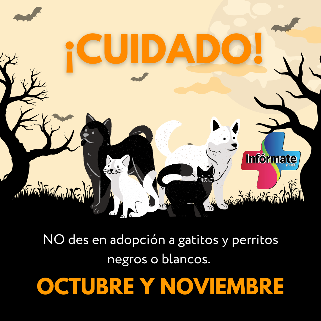 adopción de gatos y perros negros blancos en octubre