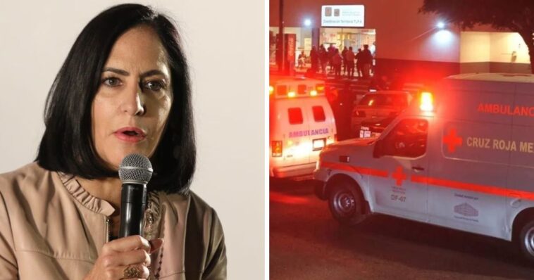 Colaborador de Lía Limón
