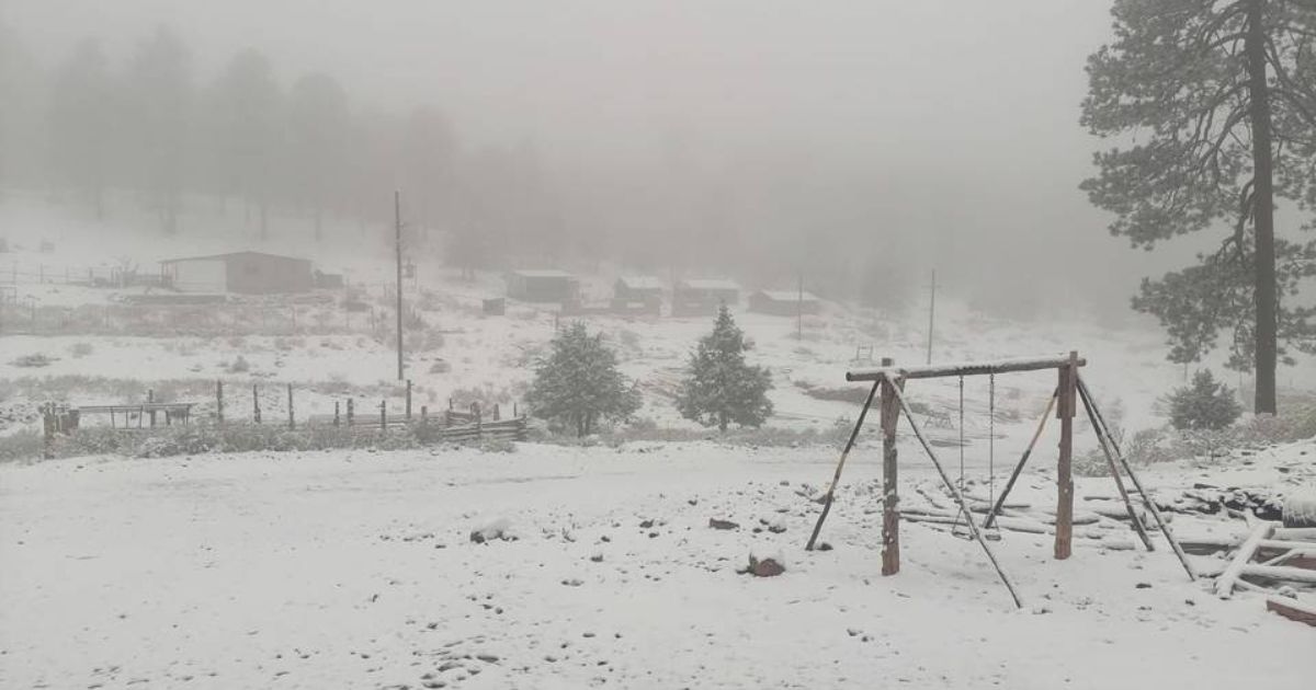 Primera tormenta invernal
