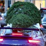 multa por transportar árbol de Navidad