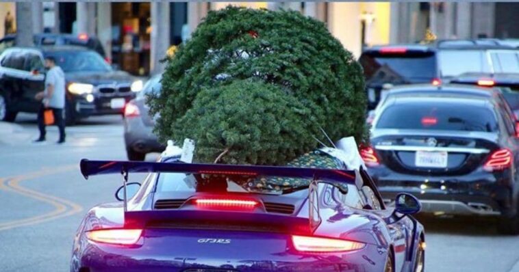 multa por transportar árbol de Navidad