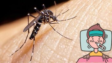 Aumentan casos de dengue en Guerrero después del huracán Otis