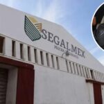 Caso Segalmex