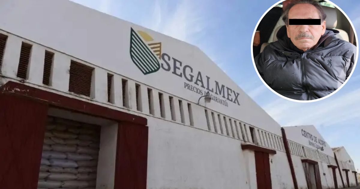 Detienen al exdirector de finanzas de Segalmex por presunto fraude. Noticias en tiempo real