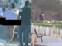 Humillan, desnudan y golpean comando a estudiantes por vender Vapeadores