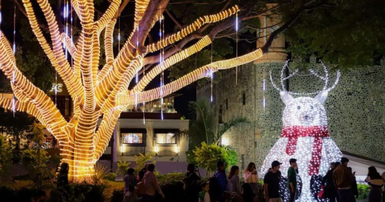 horario Festival de luces centro Cuernavaca