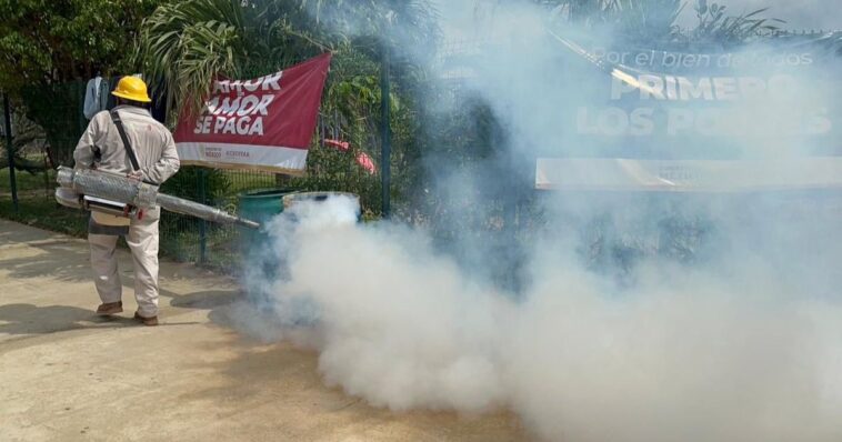 Casos de Dengue Acapulco