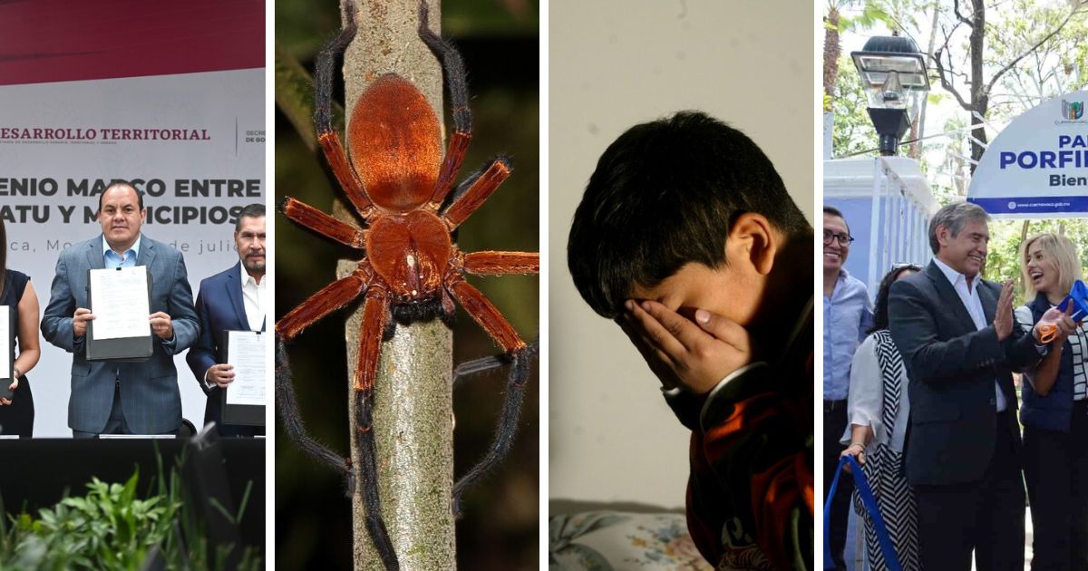 Top 5 de lo más leído en JULIO de 2023. Noticias en tiempo real