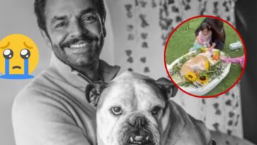 (VIDEO) Eugenio Derbez muestra el momento EXACTO en que murió su perrita Fiona