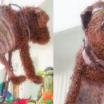 (VIDEO): Piñata de perrito maltratado causa polémica