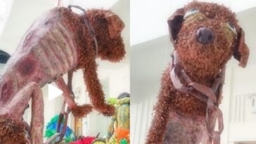 (VIDEO): Piñata de perrito maltratado causa polémica