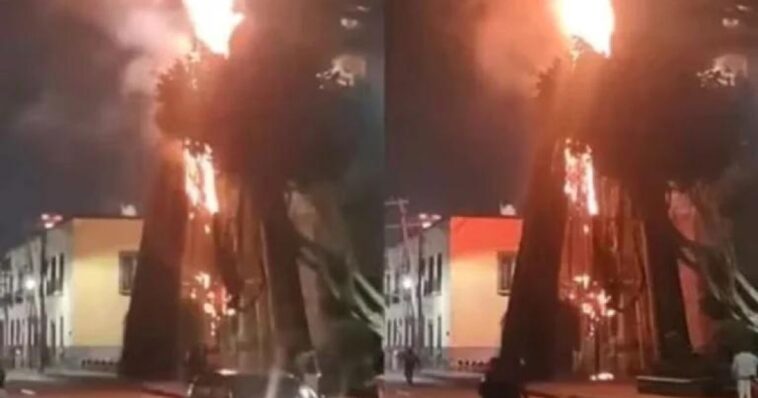 (VIDEO): Se incendia árbol de Navidad en Tlalnepantla