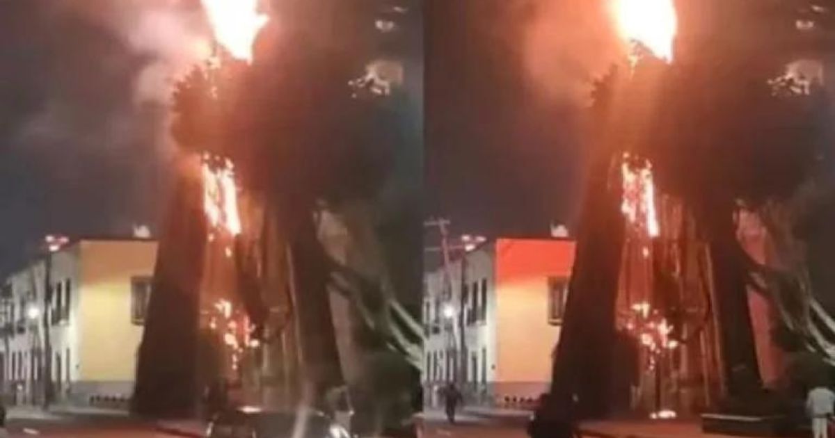 (VIDEO): Se incendia árbol de Navidad en Tlalnepantla