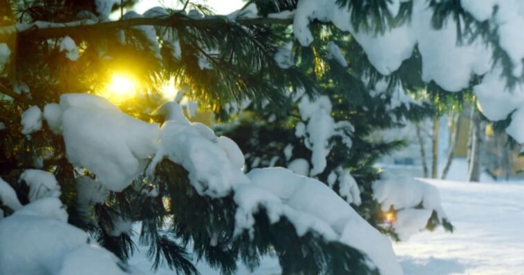 solsticio e invierno