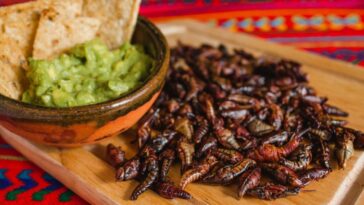 Chapulines