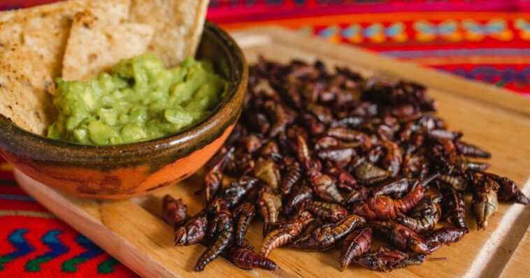 Chapulines