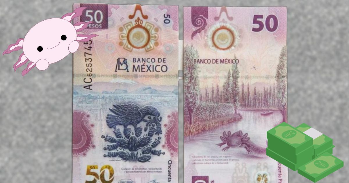 Este es el mensaje importante de Banxico ante los billetes de ajolotitos