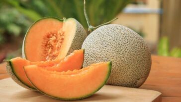Melón de Sonora
