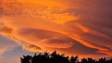 nubes raras méxico