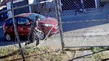 (VIDEO): Menor de edad dispara a perro por haberle ladrado