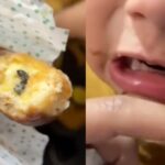 VIDEO): Niño es picado por abeja que se encontraba dentro de dona