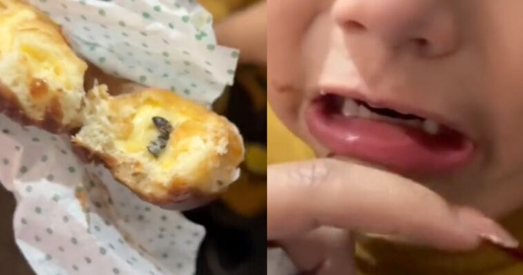 VIDEO): Niño es picado por abeja que se encontraba dentro de dona