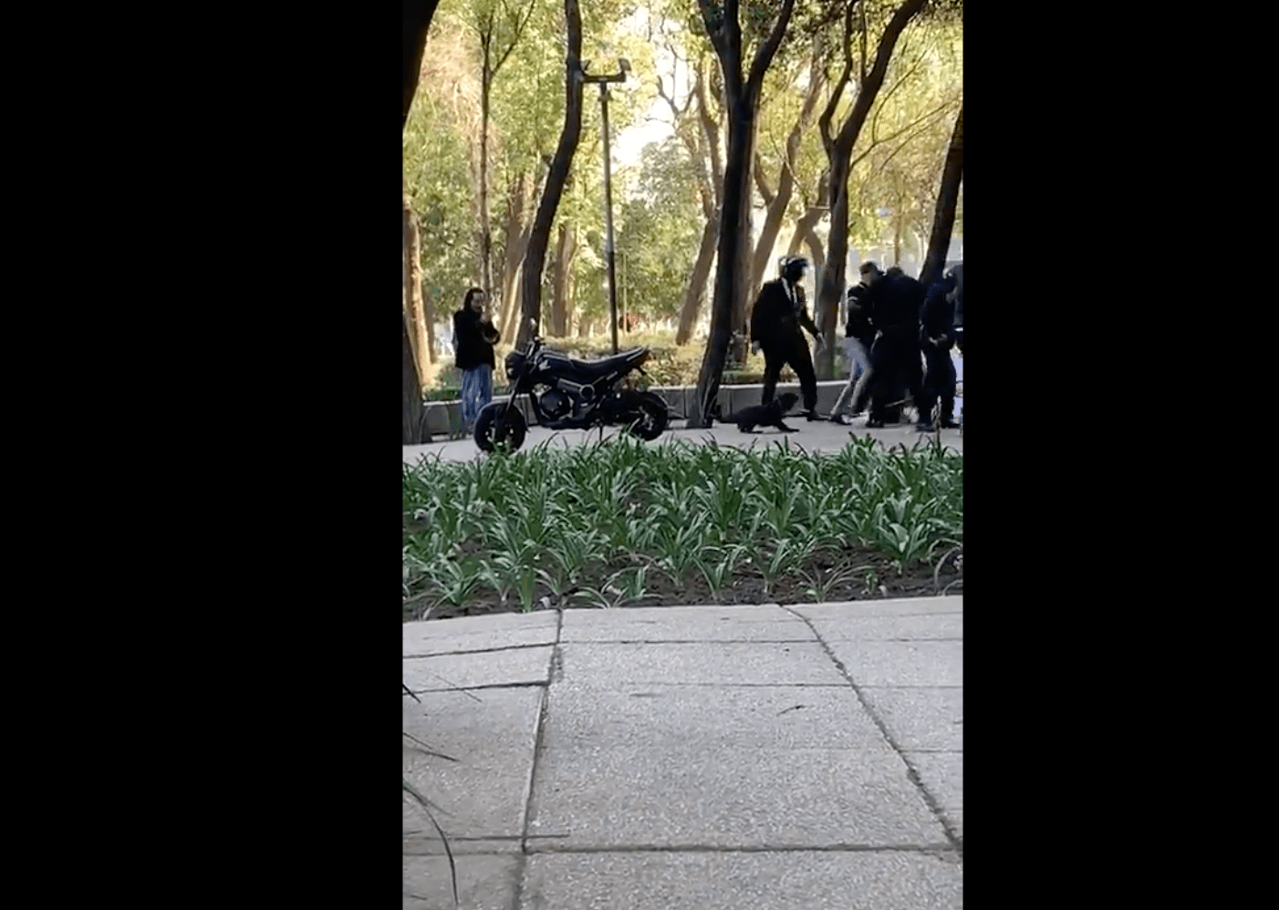 (VIDEO) Acusa de ser golpeado por personal de Sandra Cuevas