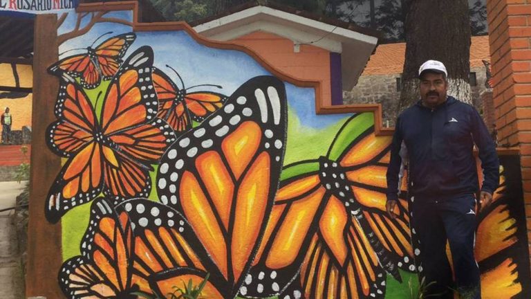 defensor de la Mariposa Monarca