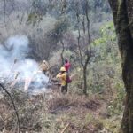 Atención de incendios forestales en Morelos