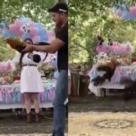 (VIDEO): Revelan sexo de bebé con pelea de gallos