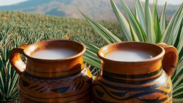 ¿El pulque tiene beneficios?