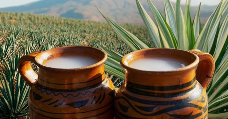 ¿El pulque tiene beneficios?