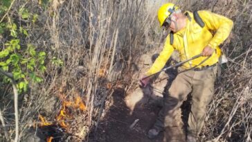 Comunicado sobre el incendio en Monte Castillo